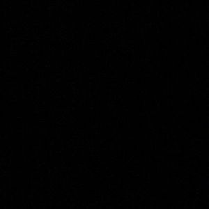 Meet your Posher, Josue